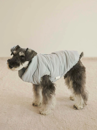 Small dog wearing a CAT&DOG large quilted pet jacket, perfect for cold weather and comfort. Ideal for both cats and dogs.
