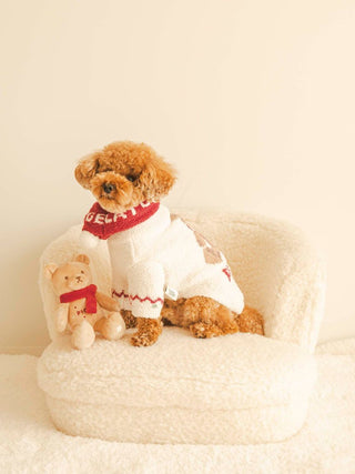 Cute dog in white sweater sitting on a fluffy chair with a beige bear toy from CAT&DOG products.