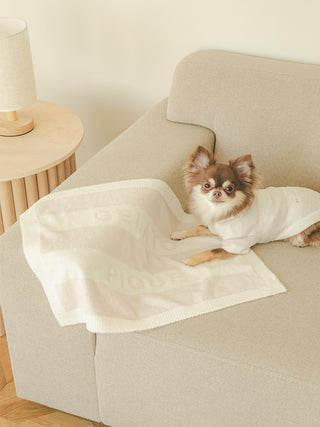 Small dog lying on CAT&DOG Smoothie 2 Border Pet Blanket on a beige sofa, showcasing comfort and style with Gelato Pique's fabric.