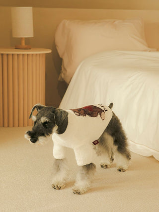 Small dog wearing CAT&DOG Heart Bear Jacquard pet clothes in a cozy bedroom setting.