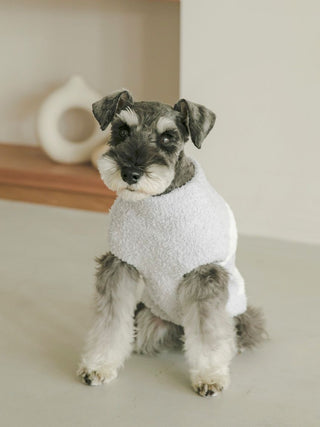 Schnauzer in CAT&DOG Baby Moco white pet clothes, sitting indoors.