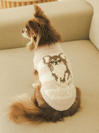 Chihuahua wearing CAT&DOG Baby Moco pet clothes, featuring a cute dog design on the back. Cozy and stylish pet apparel for small dogs.