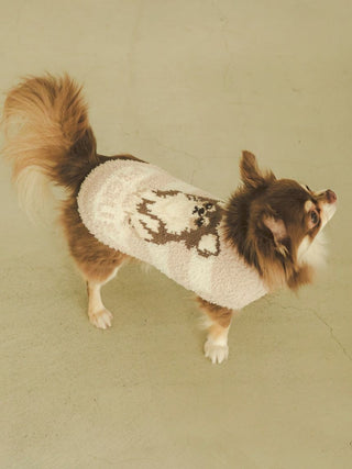 Chihuahua wearing CAT&DOG Baby Moco pet clothes with a cozy white and brown design, perfect for small breed comfort.