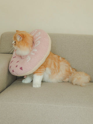 Cat wearing pink donut-shaped pet neck pillow, sitting on a beige sofa. Perfect for pets' comfort and adorable appearance.