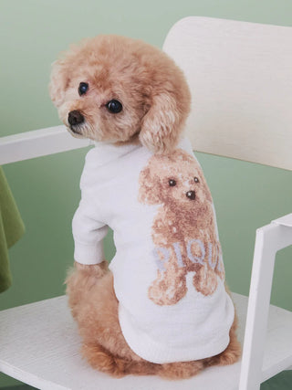 Toy poodle wearing Gelato Pique USA premium loungewear, white jacquard knit pullover with dog design, seated on a chair.