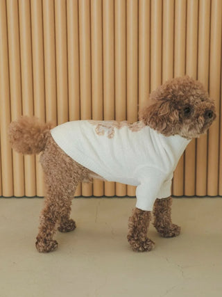 Toy poodle wearing Gelato Pique USA premium loungewear high-neck jacquard knit pullover.