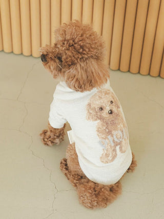 Toy poodle wearing Gelato Pique USA premium loungewear jacquard knit pullover with a high-neck design.