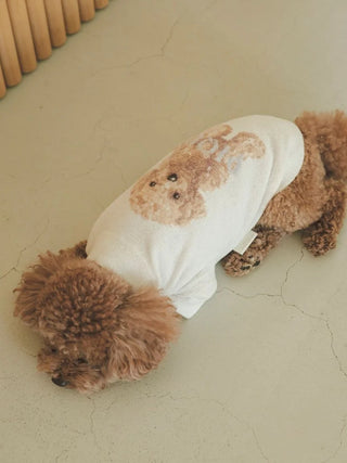 Premium loungewear for toy poodle by CAT&DOG, featuring high-neck jacquard knit design, inspired by Gelato Pique USA.