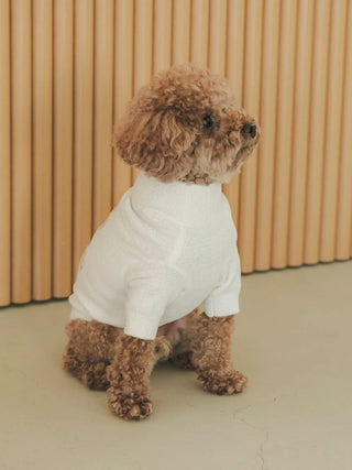 Toy Poodle wearing Gelato Pique USA Premium Loungewear jacquard knit pullover against wooden backdrop.