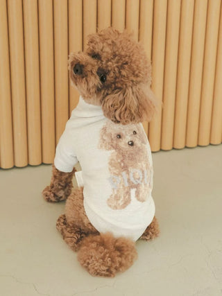 Toy Poodle in a Gelato Pique USA premium loungewear pullover, featuring a cute poodle design on the back, ideal for pets.