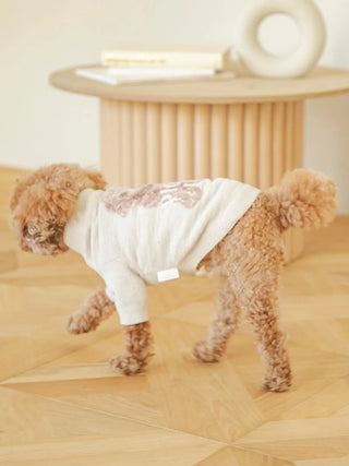 Toy Poodle wearing Gelato Pique USA premium loungewear jacquard knit pullover, showcasing cozy pet fashion in a home setting.