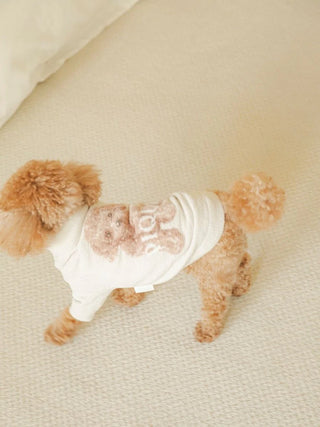 Toy Poodle wearing Gelato Pique USA premium loungewear, high-neck jacquard knit pullover for pets. Ideal for CAT&DOG products.
