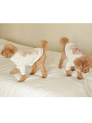 Two toy poodles wearing premium loungewear by Gelato Pique USA, featuring a high-neck jacquard knit pullover on a white bed.