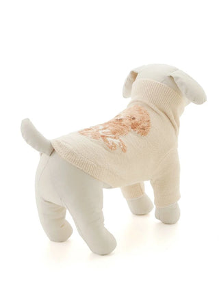 Alt Tag: Dog mannequin wearing a premium loungewear toy poodle knit pullover, high-neck design, by Gelato Pique USA.