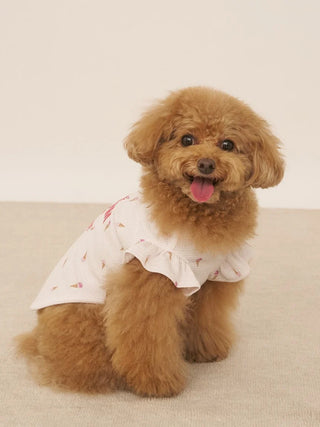 CAT&DOG Ice Cream Waffle Pet Clothes