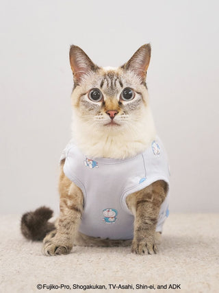 Doraemon Cat & Dog All-Over Print Pullover