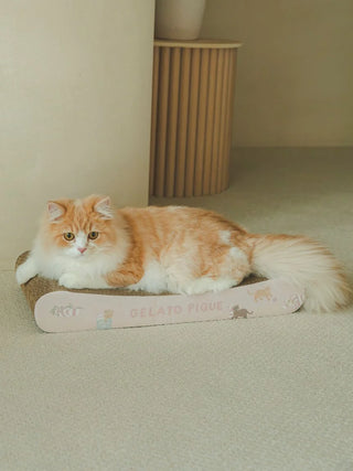 Fluffy orange and white cat lounging on a CAT&DOG cat scratching board in a modern room.