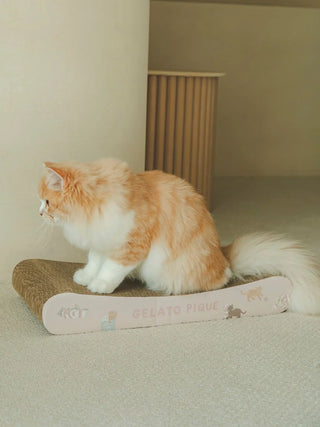 Fluffy cat using CAT&DOG scratching board with "Gelato Pique" design on a light carpeted floor.