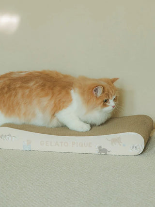 Fluffy cat on a CAT&DOG scratching board with Gelato Pique design in a neutral-colored room, offering a stylish pet activity solution.