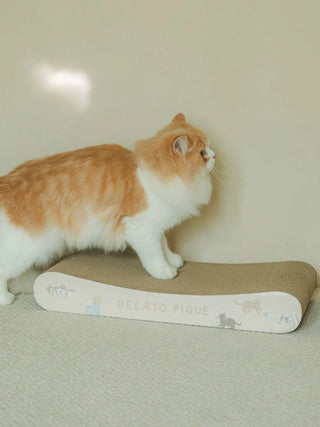 Fluffy orange and white cat using a Gelato Pique cat scratching board against a beige background.