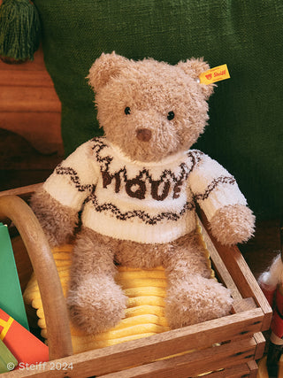 Steiff Teddy Bear Jimmy wearing a cozy sweater, featuring signature soft texture from Steiff and Gelato Pique collaboration.