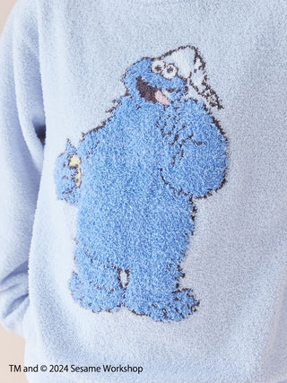 Sesame Street motif jacquard pullover with blue textured character design on Baby Moco fabric, close-up view.