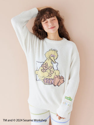 Woman wearing Sesame Street Baby Moco pullover featuring Big Bird and a teddy bear design.