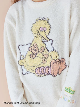 Child wearing Sesame Street jacquard pullover with Big Bird motif. Soft 'Baby Moco' fabric, gentle and fluffy for kids.