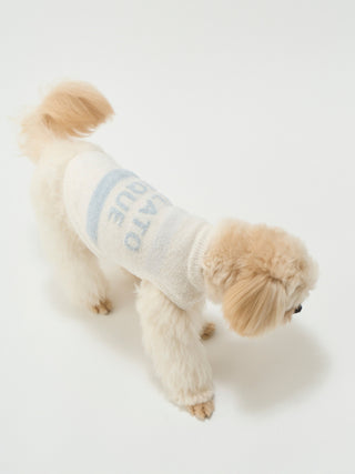 Fluffy dog wearing CAT&DOG Smoothie Cake Border pet clothes with soft texture and stylish design.