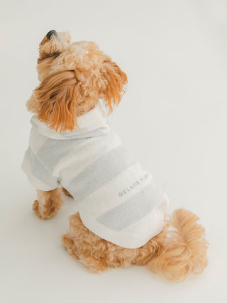 Dog wearing a white and grey striped hoodie from Gelato Pique Pet Wear, featuring premium Smoothie material with a cute hooded design.