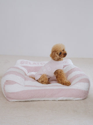 Small dog wearing Gelato Pique Baby Moco Nep Pullover sitting on a soft pink striped pet bed.
