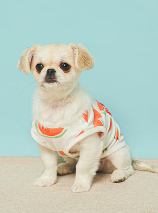 Small dog wearing watermelon motif pet clothes with cool touch fabric for summer comfort, featuring playful brand logo.