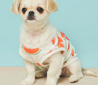 Matching Pet and Owner Looks for Sunny Weekends at Home
