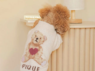 Valentine Gifts for Pet Lovers: Matching Moments, Cozy Pet Pullovers, and Sweet Accessories