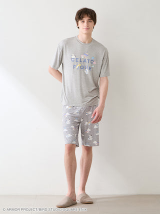 [DRAGON QUEST] [Men’s] One-Point T-Shirt