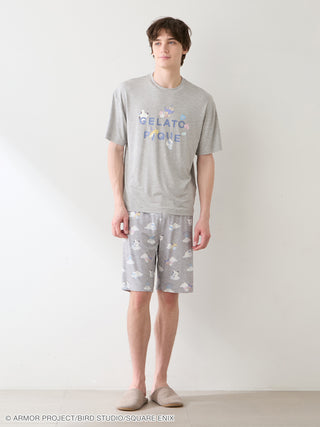 [DRAGON QUEST] [Men’s] All-Over Print Shorts