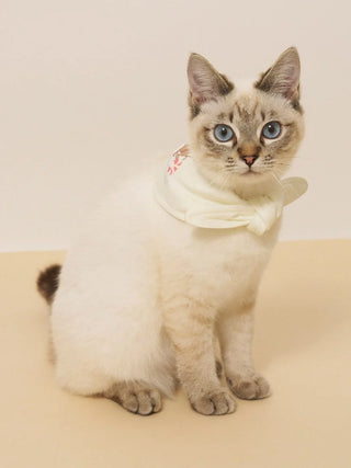 [CAT&DOG] Summer Bear Pet Bandana