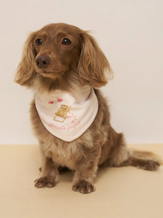 [CAT&DOG] Summer Bear Pet Bandana