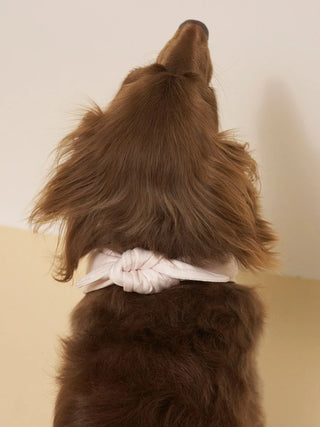 [CAT&DOG] Summer Bear Pet Bandana