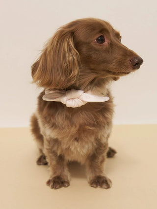 [CAT&DOG] Summer Bear Pet Bandana