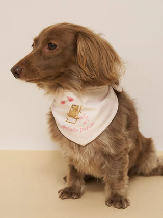 [CAT&DOG] Summer Bear Pet Bandana