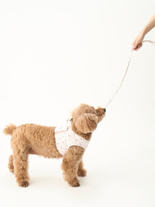 [CAT & DOG] Motif Pattern Lead
