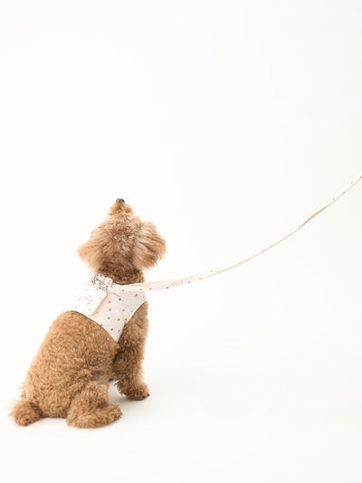CAT&DOG Strawberry & Ice Cream Motif Pet Leash gelato pique