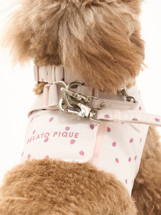 CAT&DOG Strawberry & Ice Cream Motif Lease - Pet's Premium Accessories At Gelato Pique USA