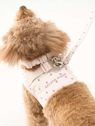 [CAT & DOG] Motif Pattern Lead