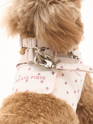 [CAT & DOG] Motif Pattern Lead