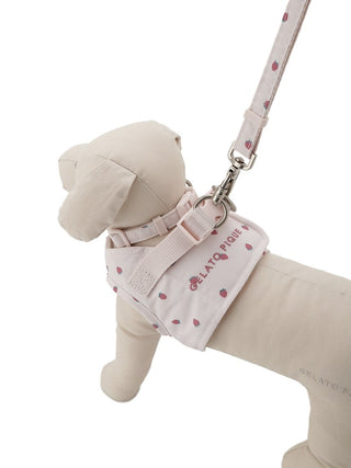 [CAT & DOG] Motif Pattern Lead