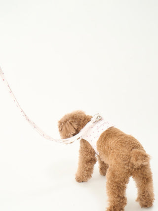 Ice Cream Harness & Leash Set  Stylish Comfort for Dog Walks!