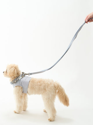 CAT&DOG Leash with Harness- Pet's Premium Accessories At Gelato Pique USA