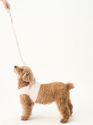 CAT&DOG Leash with Harness- Pet's Premium Accessories At Gelato Pique USA